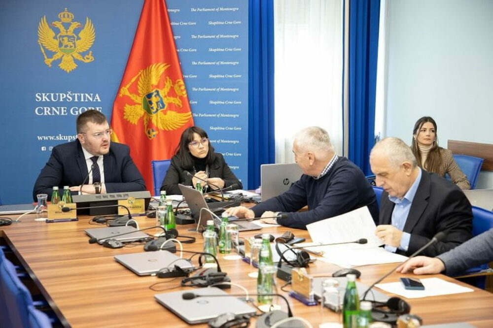 Sa Odbora, Foto: Skupština Crne Gore