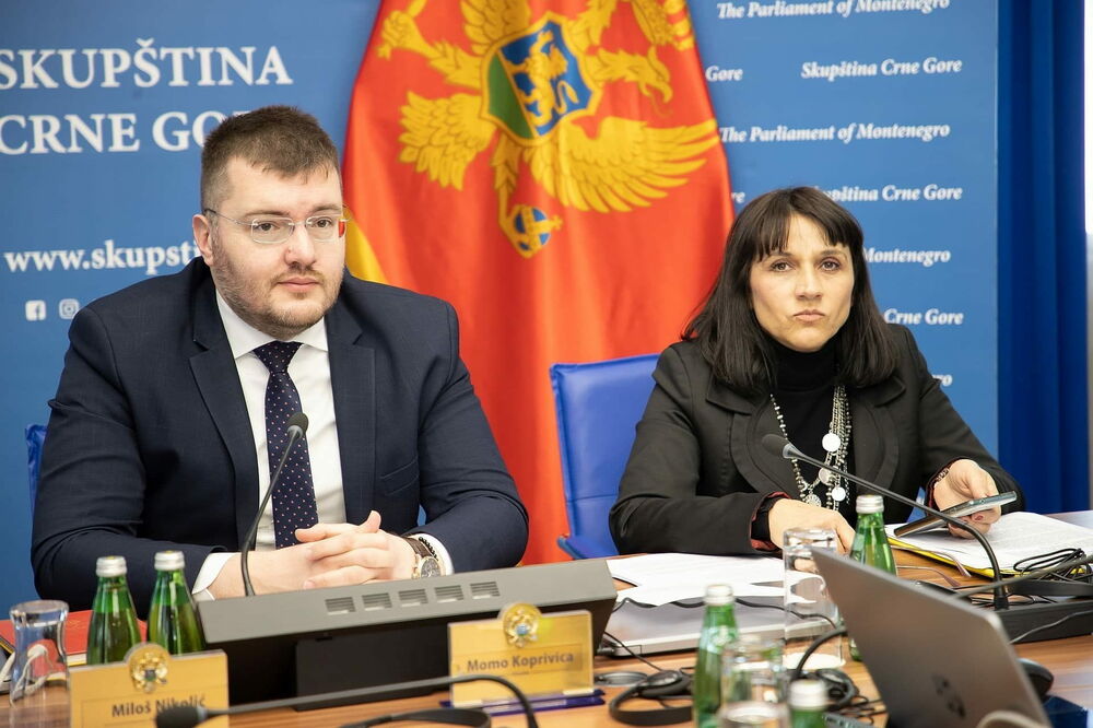 Sa Odbora, Foto: Skupština Crne Gore