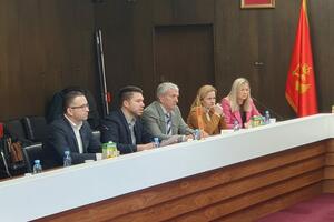 Predsjednički izbori će uključivati 14 dugoročnih i 100...