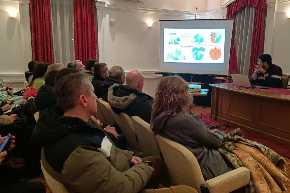 Sa tribine, Foto: DMEN