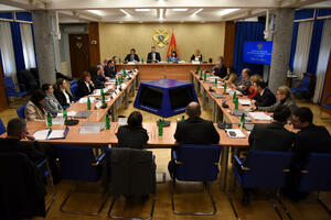 Odbor u petak o ukidanju zabrane ulaska u Crnu Goru Belivuku i...