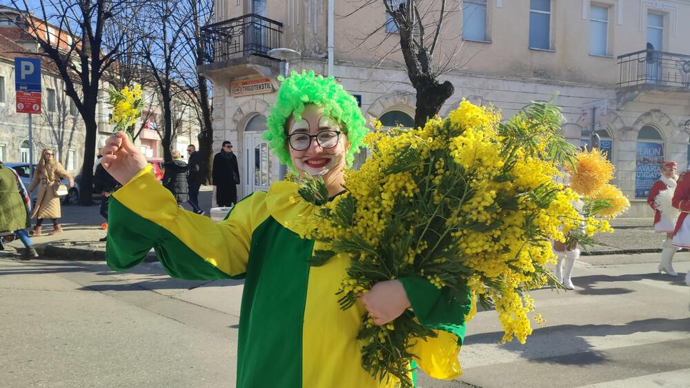 karavan mimoze u nikšiću