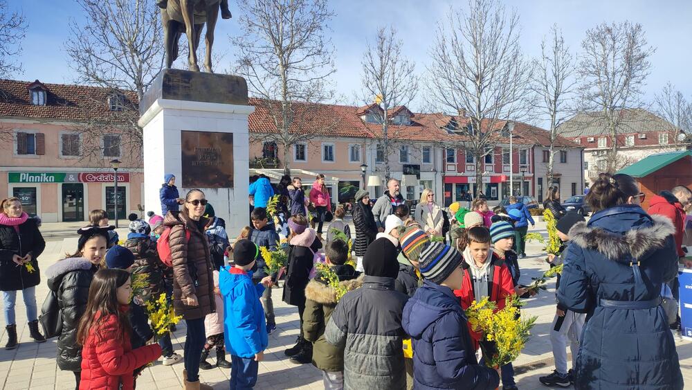 karavan mimoze u nikšiću