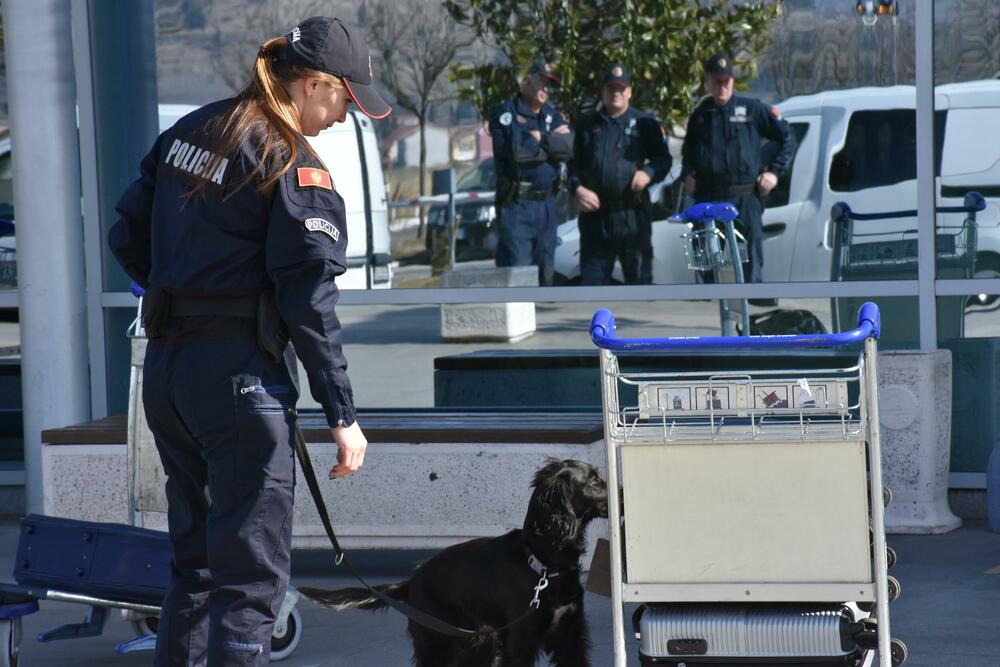 <p>"Uz mentorstvo direktora K9 operacija GENTUM UK kompanije, realizovana je obuka za četiri službenika Sektora granične policije kojima su nakon današnje pokazne vježbe uručeni sertifikati", navodi se u saopštenju</p>