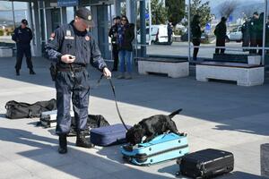 Britanski partneri donirali crnogorskoj policiji četiri psa tragača
