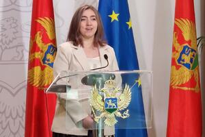 Šćepanović: Crna Gora osma u Evropi po procentu žena naučnica, kao...