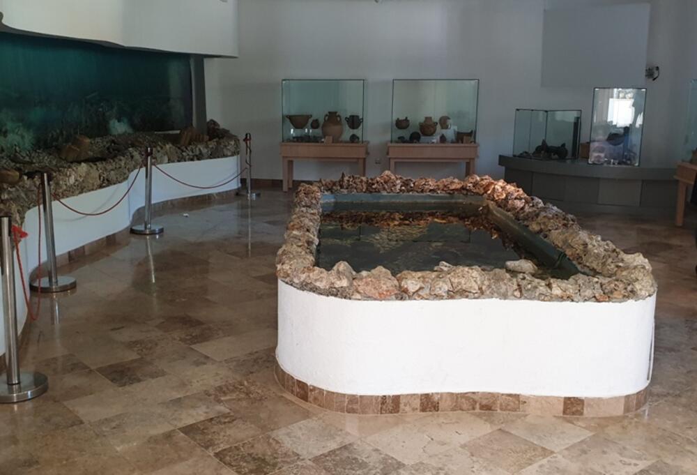 Arheološki muzej – Zaliv kostiju