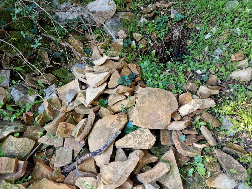 Tragovi ilegalnog iskopavanja na Samoboru i razbacana keramika iz antičkog perioda, Foto: Andrea Jelić