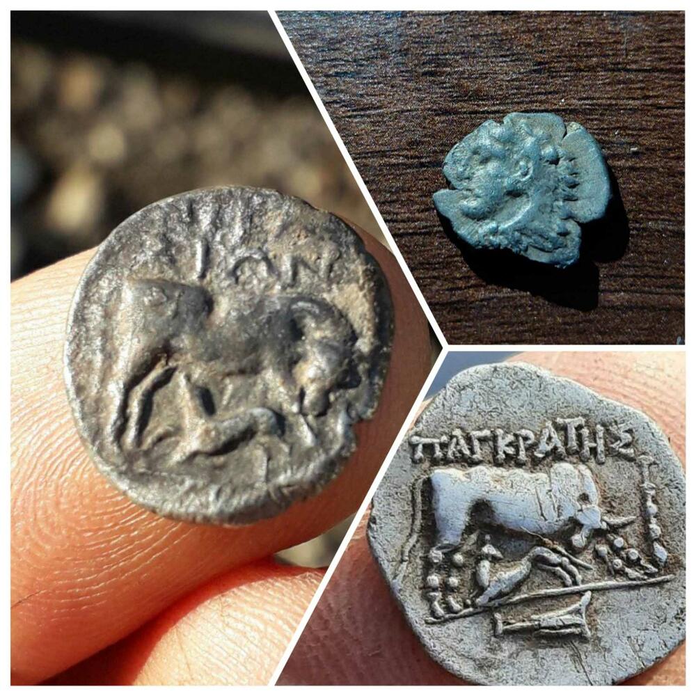 Ilirski novčići pronađeni na primorju Crne Gore