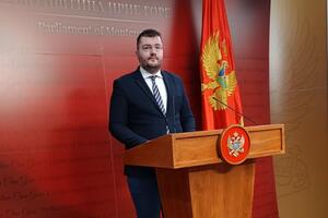 Koprivica: Radna grupa radi na značajnim unapređenjima Zakona o...