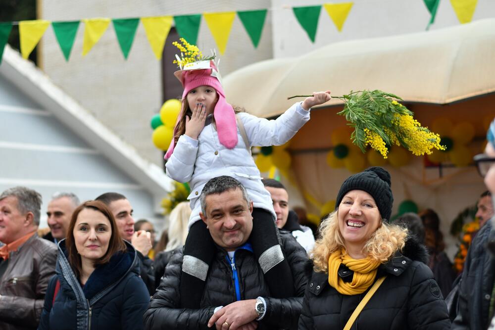 Sa jednog od ranijih izdanja Praznika mimoze