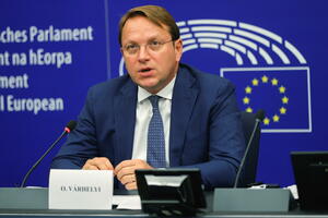 Poslanici EP traže ostavku Varheljija zbog "idiota"