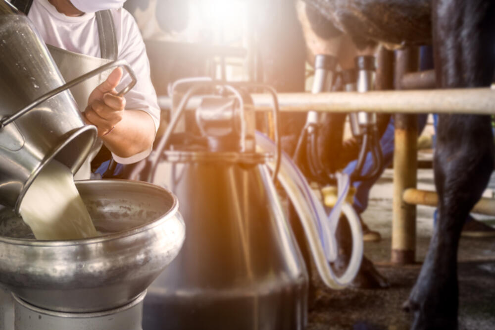 Ilustracija, Foto: Shutterstock