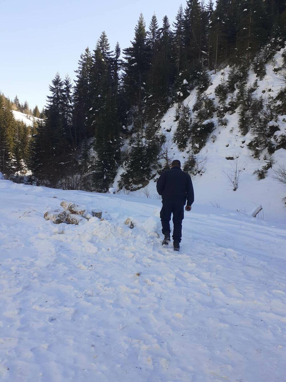 <p>"Utvrđeno da je posječeno ukupno 16 stabala bukve, jele i smrče, ukupne bruto drvne mase 8,22 metra kubna"</p>