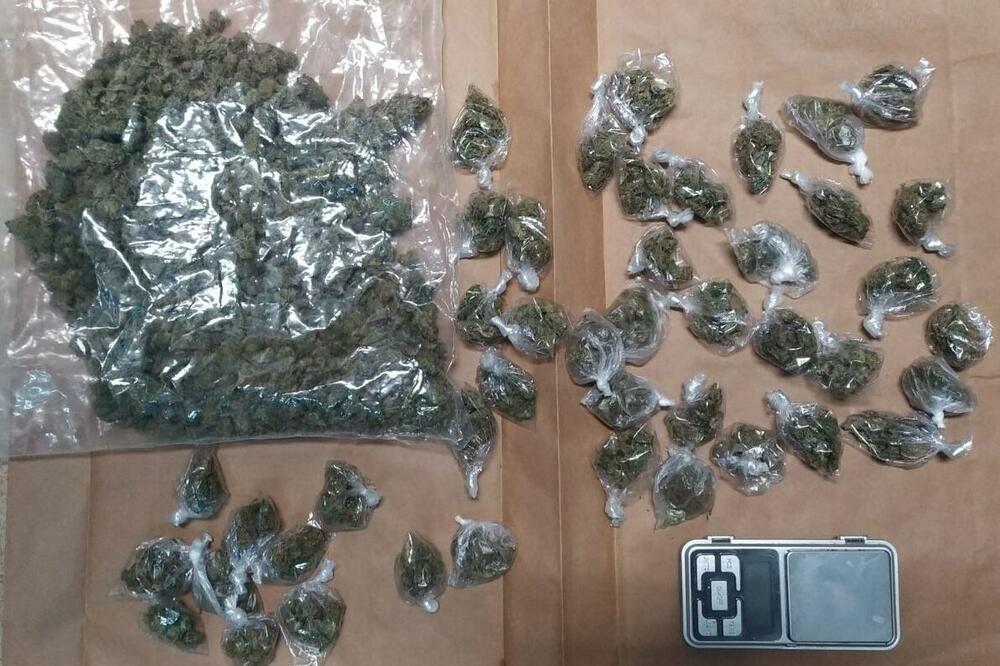Oduzeta marihuana, Foto: Uprava policije