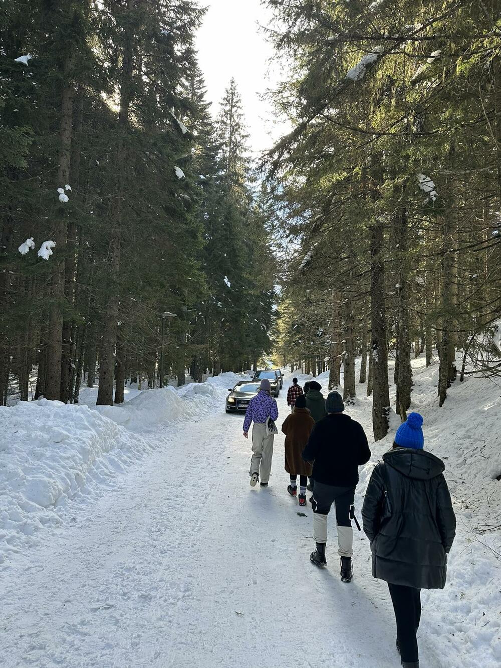 službena vozila Crno jezero