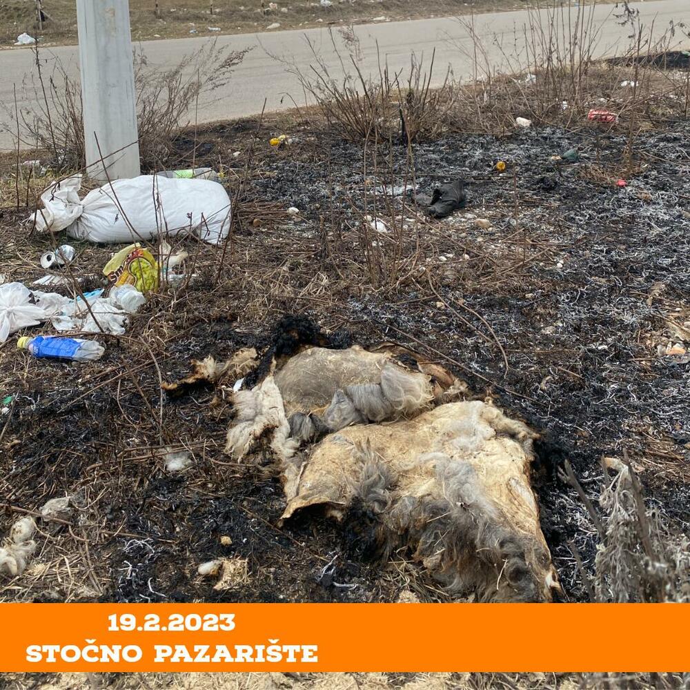 <p>Iz Ecopatriotizma su napomenuli da to nije jedina lokacija u Nikšiću na kojoj je na snazi ekocid, za koji optužuju da sprovode nesavjesni građani Nikšića i nemarna lokalna samouprava</p>