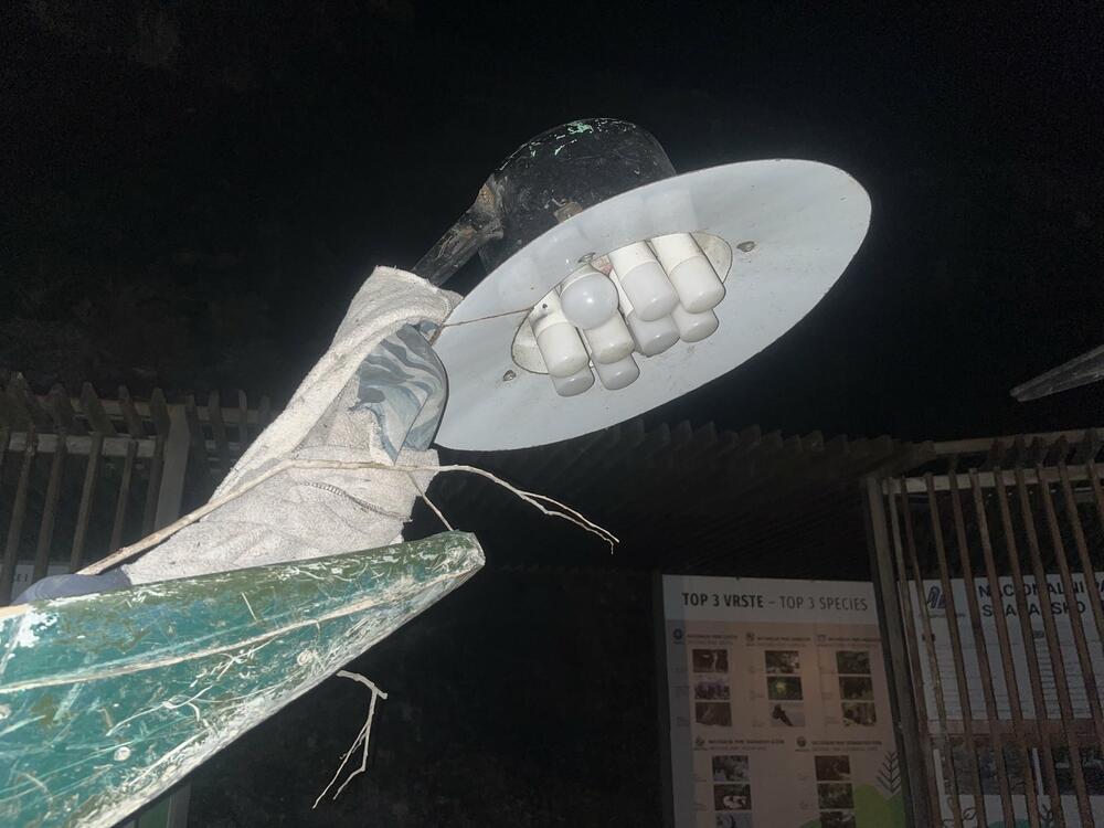 krivolov Skadarsko jezero