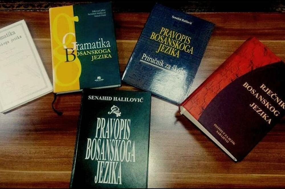 Ilustracija, Foto: Bošnjačka stranka