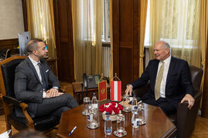 Klarić: Uvezivanje parlamenata Crne Gore i Austrije ključno za...