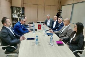 Damjanović: Ministarstvo finansija će dati potrebnu...