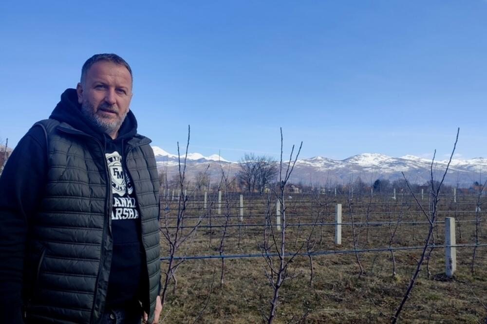 Šljivančanin, Foto: Svetlana Mandić