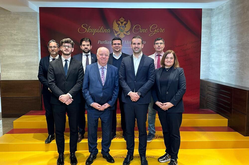 Foto: Twitter/MickeySpajic