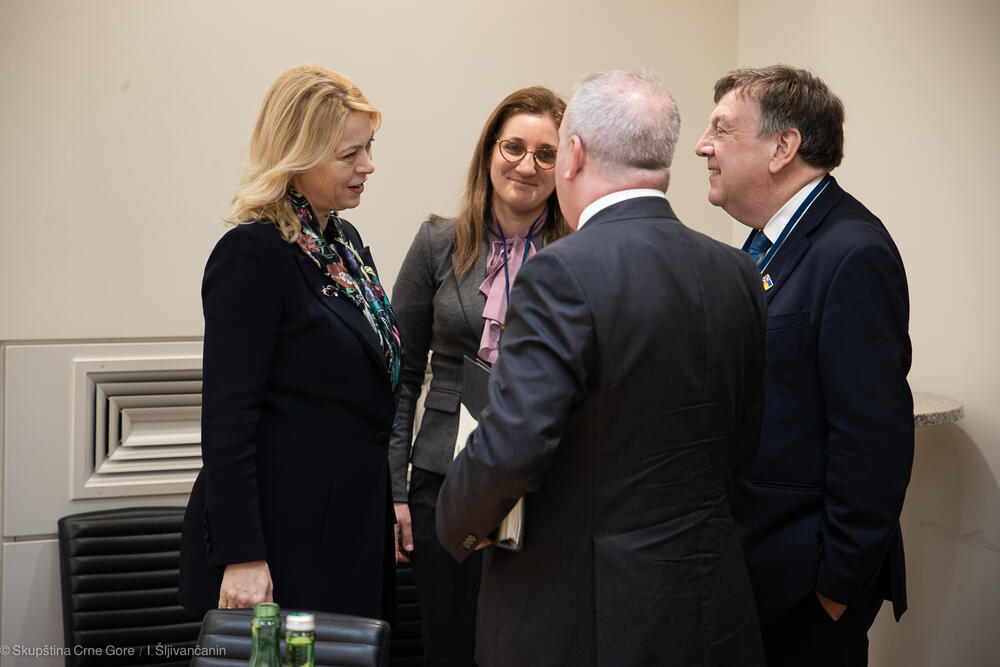 <p>Crna Gora, ali i ostale zemlje Zapadnog Balkana i u narednom periodu će imati nedvosmislenu podršku Ujedinjenog Kraljevstva u procesu pristupanja EU</p>