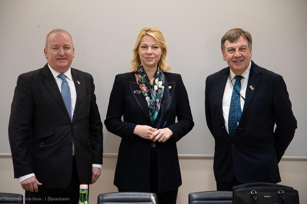 Danijela Đurović na sastanku sa Markom Pritčardom i Džonom Vitingdejlom, Foto: Skupština Crne Gore