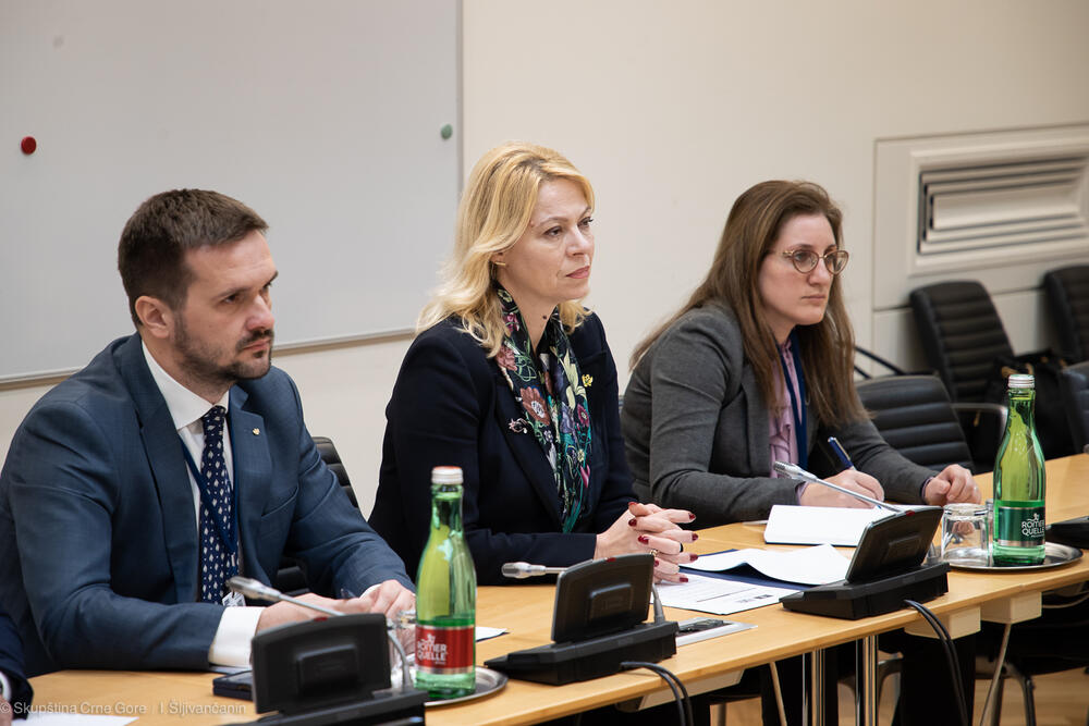 <p>Crna Gora, ali i ostale zemlje Zapadnog Balkana i u narednom periodu će imati nedvosmislenu podršku Ujedinjenog Kraljevstva u procesu pristupanja EU</p>