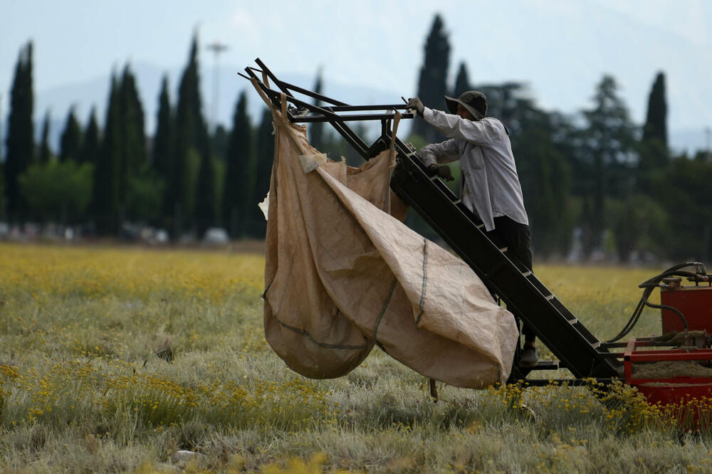 Mehanizme će kontrolisati Uprava prihoda i carina (ilustracija), Foto: BORIS PEJOVIC