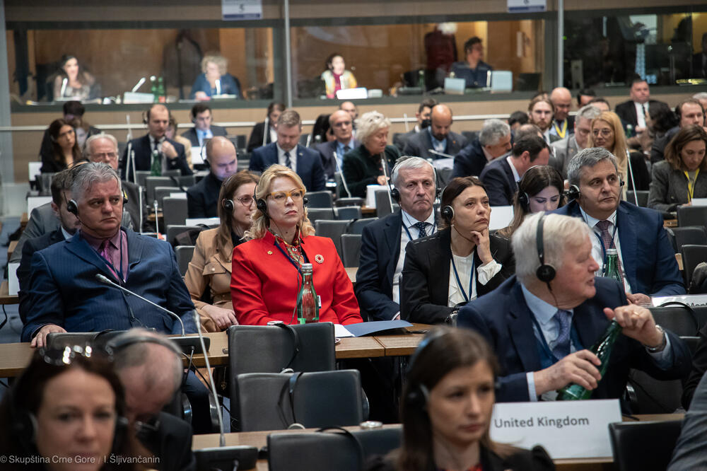 Crnogorska delegacija, Foto: Skupština Crne Gore