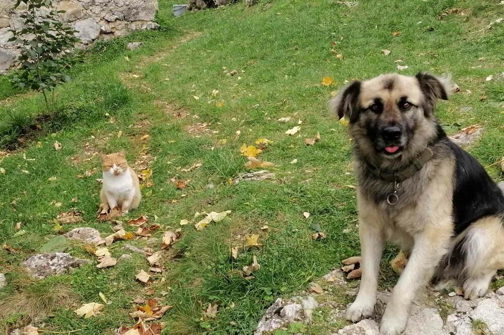 Foto: Privatna arhiva