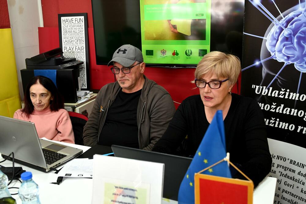 Sa prezentacije projekta, Foto: NVO Brain