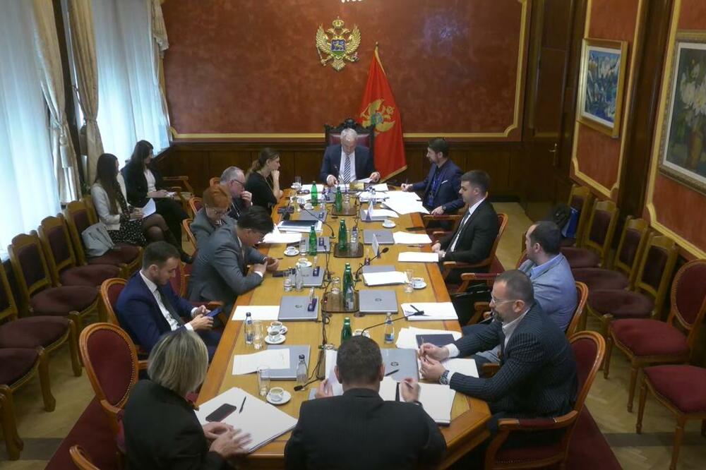 Sa jedne od sjednica Odbora, Foto: Printscreen YouTube/Skupština Crne Gore