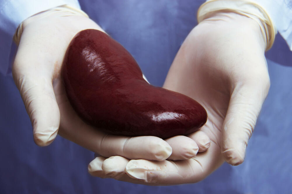 Pacijentkinja na listi čekanja za transplantaciju bubrega, Foto: Shutterstock