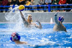 "Ajkule" sjutra u Kotoru protiv Australije, Radović: Idealan rival...