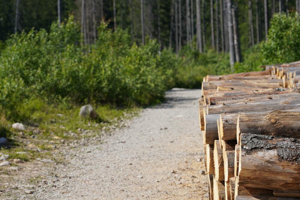 Utvrdiće koliko će bivših radnika biti isplaćeno nakon što dobiju...