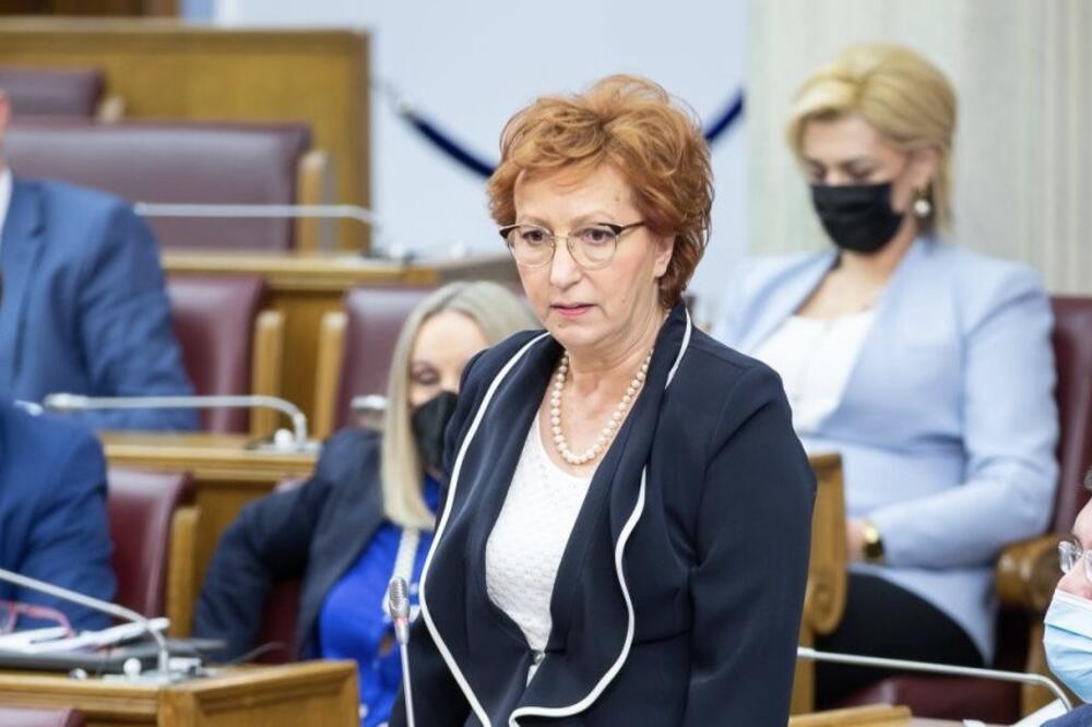 Popović, Foto: Demokratska Crna Gora