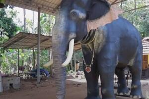 Indija: Hram u Kerali tokom obreda koristio mehaničkog slona