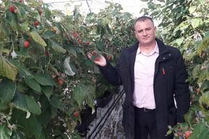 Stotine tona maline zarobljeno u hladnjačama