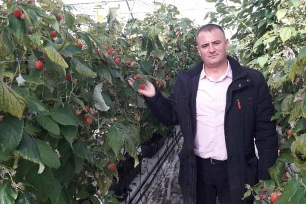 Andrija Delić u svom malinjaku, Foto: Jadranka Ćetković