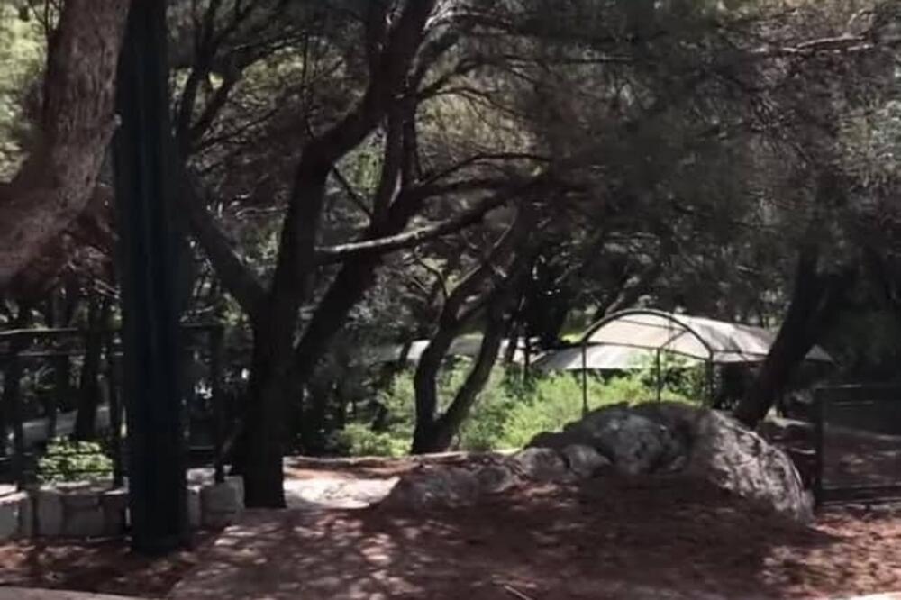 Restoran u nimalo reprezentativnom stanju, Foto: Vuk Lajović