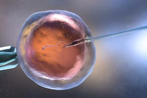 Donacija spermatozoida i jajnih ćelija može, ali uz limite za gej...