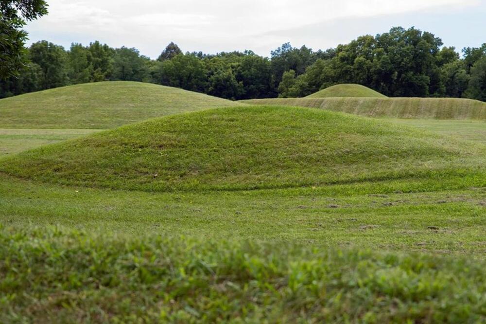 Foto: Mary Salen/Getty Images