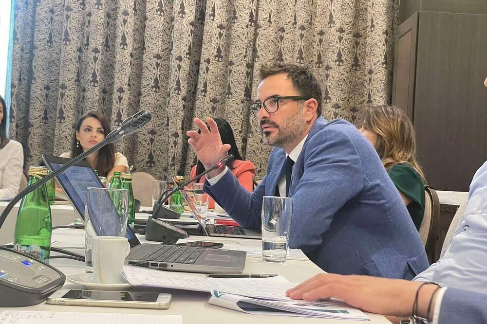 Poslali DRI akcioni plan za realizaciju preporuka: Mladen Grgić, Foto: Agencija za investicije