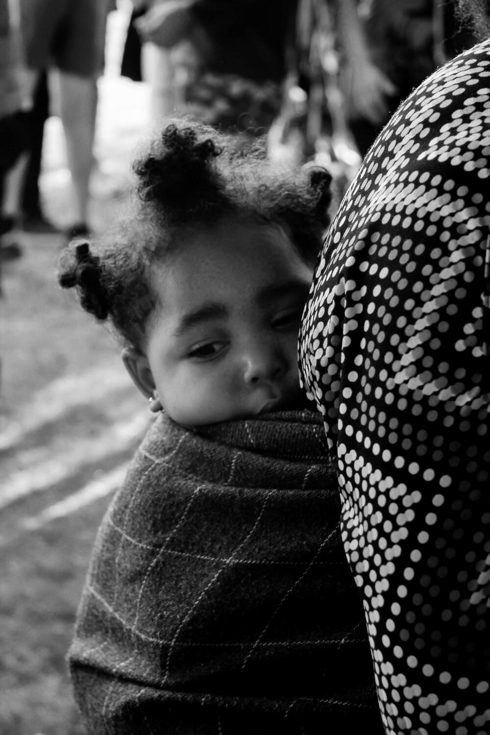 <p>O putovanjima, spoznajama, motivima i samostalnoj izložbi fotografija koja je otvorena u Podgorici u KIC-u “Budo Tomović”, Katica Nišavić govori za “Vijesti”</p>