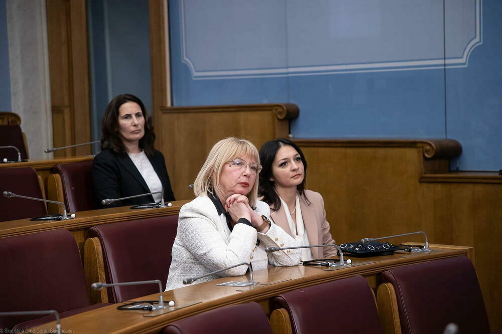 Pred Ustavnim sudom ukupno 27 žalbi na izborni proces: Đuranović, Armenko, Tešić, Foto: Skupstina