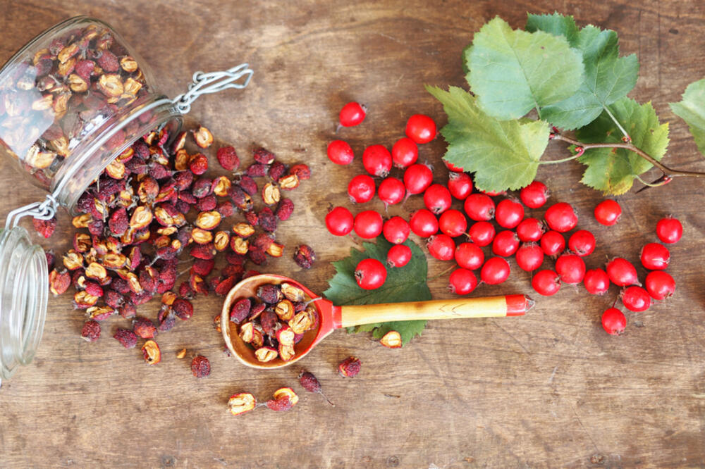 Ilustracija, Foto: Shutterstock