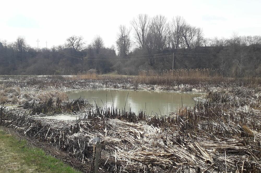 Jedna od laguna u koju se ispuštaju otpadne vode, Foto: Dragana Šćepanović